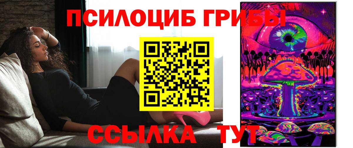 Сальск  Галлюциногенные грибы Psilocybe  где купить наркотик  Вход с VPN 