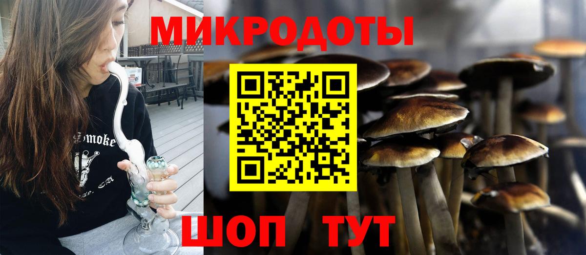 Псилоцибиновые грибы мицелий Сальск